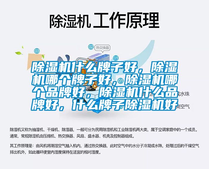 除濕機(jī)什么牌子好，除濕機(jī)哪個牌子好，除濕機(jī)哪個品牌好，除濕機(jī)什么品牌好，什么牌子除濕機(jī)好