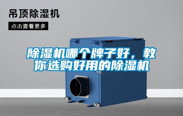 除濕機(jī)哪個(gè)牌子好，教你選購好用的除濕機(jī)