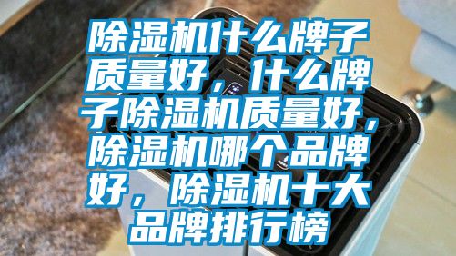 除濕機(jī)什么牌子質(zhì)量好，什么牌子除濕機(jī)質(zhì)量好，除濕機(jī)哪個品牌好，除濕機(jī)十大品牌排行榜