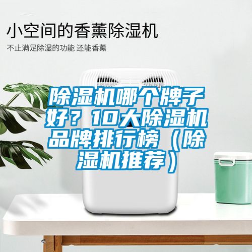 除濕機哪個牌子好？10大除濕機品牌排行榜（除濕機推薦）
