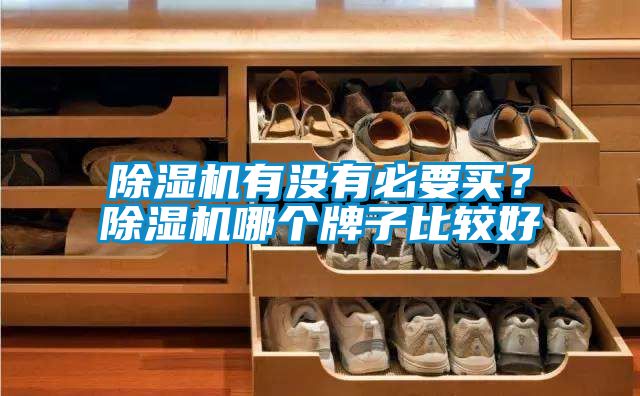 除濕機(jī)有沒有必要買？除濕機(jī)哪個(gè)牌子比較好
