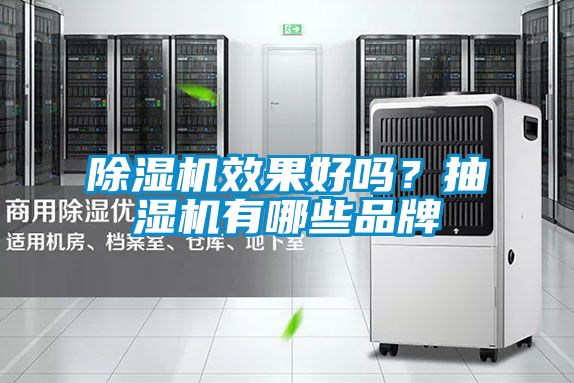 除濕機(jī)效果好嗎？抽濕機(jī)有哪些品牌