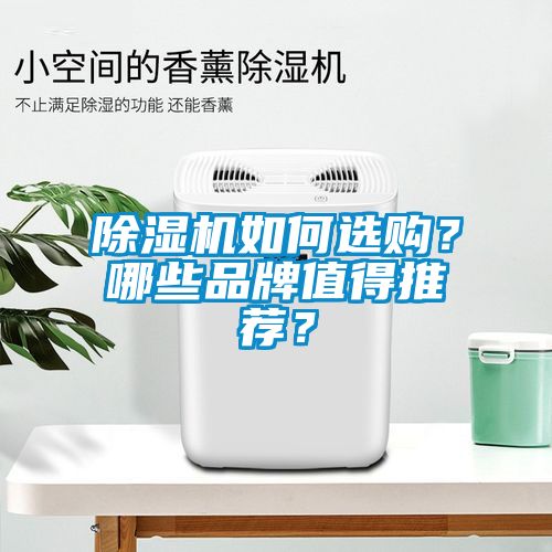 除濕機如何選購？哪些品牌值得推薦？