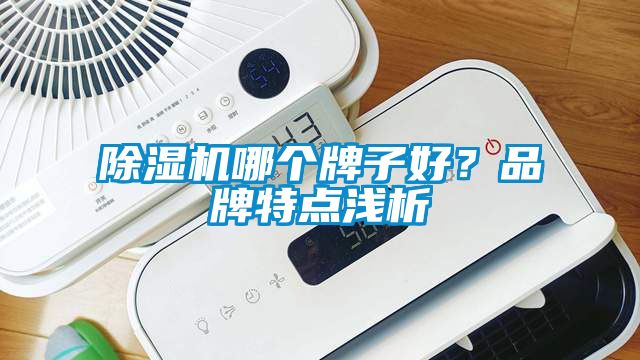 除濕機哪個牌子好？品牌特點淺析