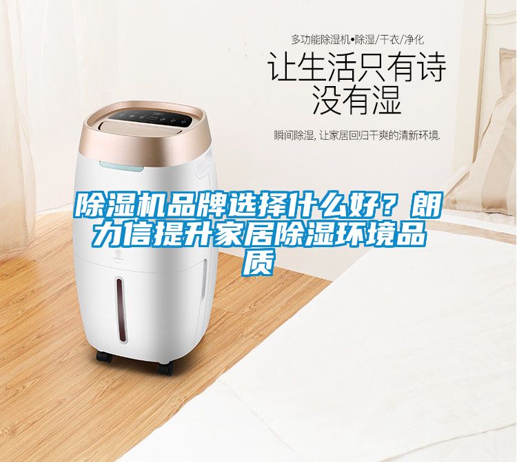 除濕機品牌選擇什么好？朗力信提升家居除濕環境品質