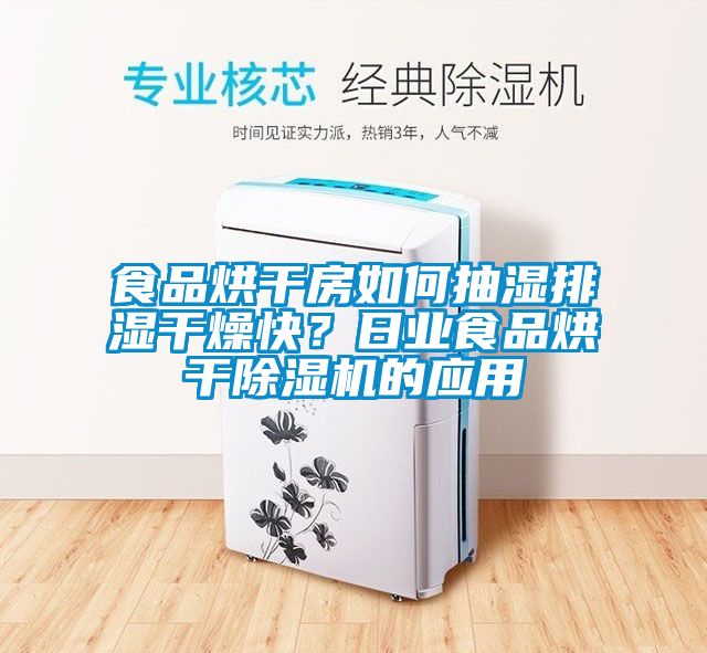 食品烘干房如何抽濕排濕干燥快？日業食品烘干除濕機的應用