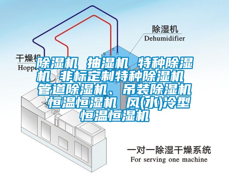 除濕機(jī) 抽濕機(jī) 特種除濕機(jī) 非標(biāo)定制特種除濕機(jī) 管道除濕機(jī)、吊裝除濕機(jī) 恒溫恒濕機(jī) 風(fēng)(水)冷型恒溫恒濕機(jī)