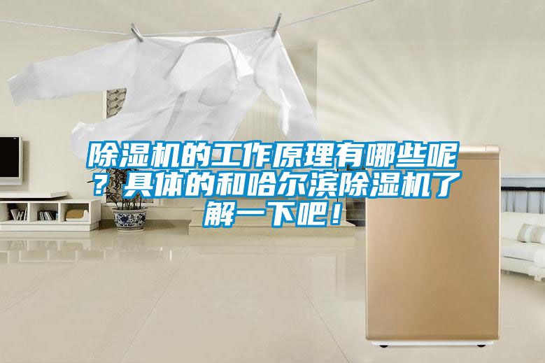 除濕機(jī)的工作原理有哪些呢？具體的和哈爾濱除濕機(jī)了解一下吧！