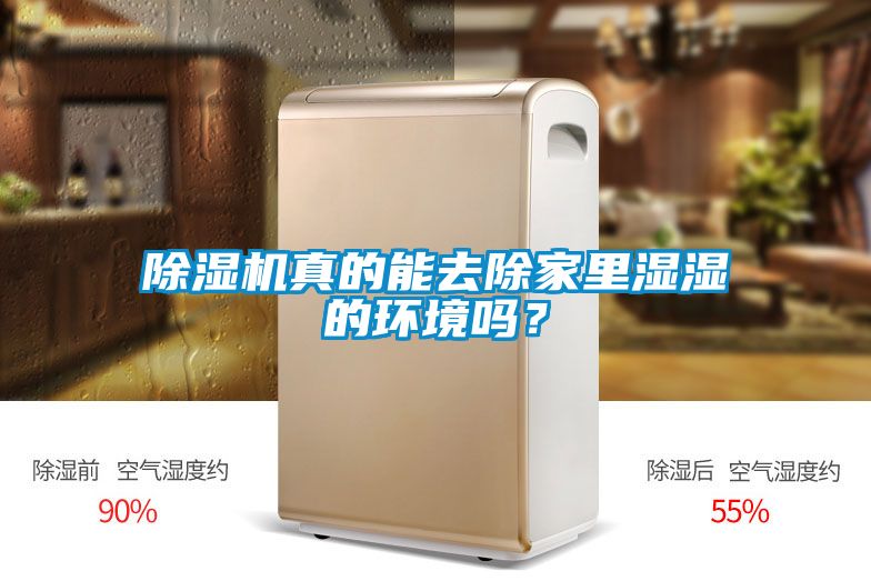 除濕機真的能去除家里濕濕的環境嗎？