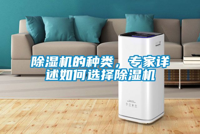 除濕機(jī)的種類，專家詳述如何選擇除濕機(jī)