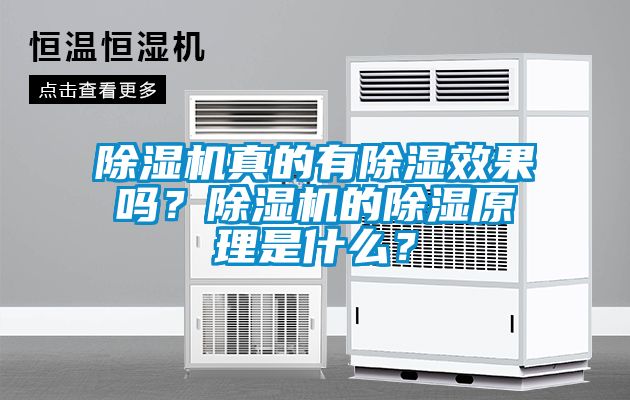 除濕機真的有除濕效果嗎？除濕機的除濕原理是什么？