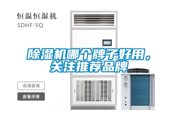 除濕機哪個牌子好用，關注推薦品牌