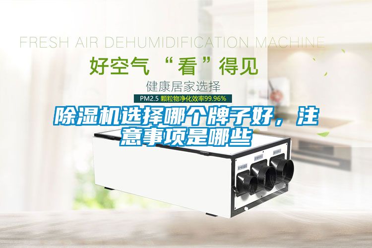 除濕機(jī)選擇哪個(gè)牌子好，注意事項(xiàng)是哪些