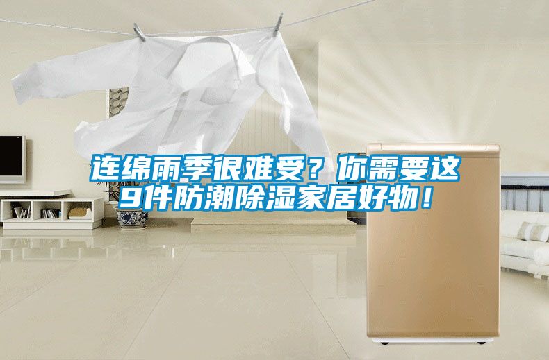 連綿雨季很難受？你需要這9件防潮除濕家居好物！