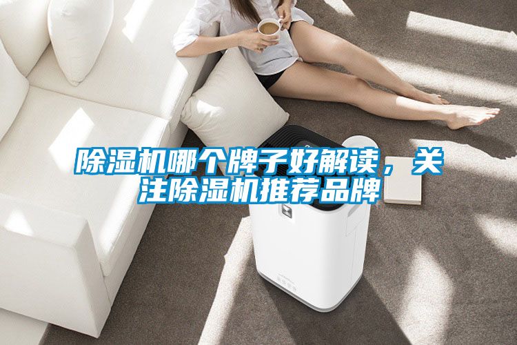 除濕機哪個牌子好解讀，關注除濕機推薦品牌