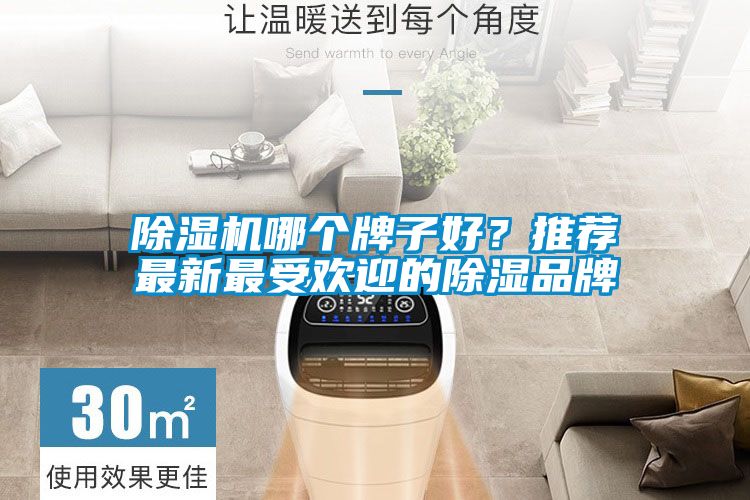 除濕機哪個牌子好？推薦最新最受歡迎的除濕品牌
