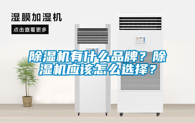 除濕機有什么品牌？除濕機應該怎么選擇？