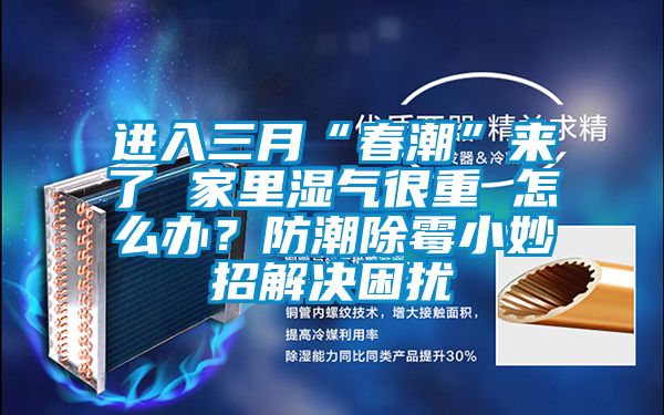 進入三月“春潮”來了 家里濕氣很重 怎么辦？防潮除霉小妙招解決困擾