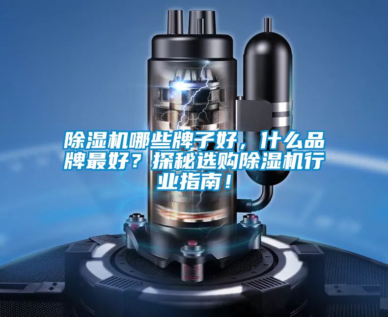 除濕機(jī)哪些牌子好，什么品牌最好？探秘選購除濕機(jī)行業(yè)指南！