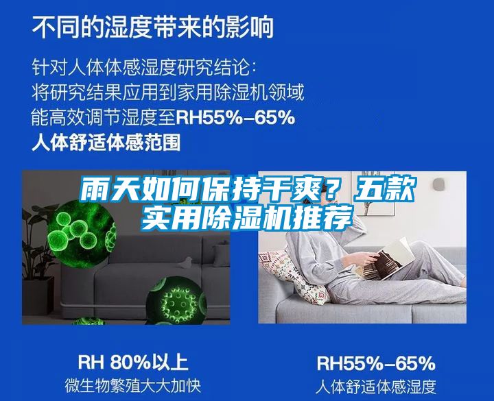 雨天如何保持干爽？五款實用除濕機推薦