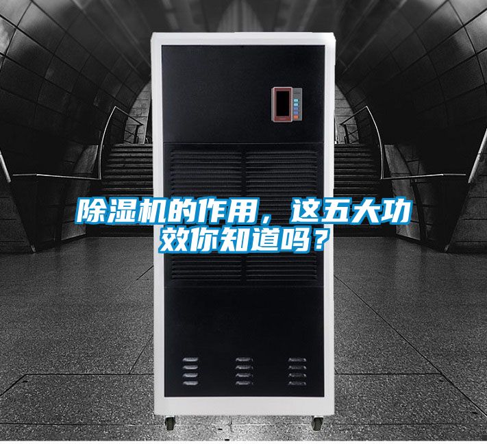 除濕機的作用，這五大功效你知道嗎？
