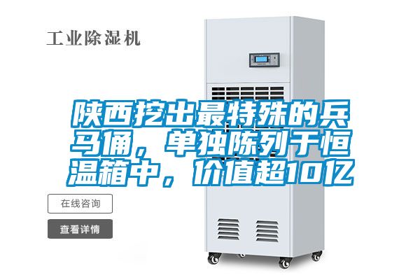 陜西挖出最特殊的兵馬俑，單獨(dú)陳列于恒溫箱中，價(jià)值超10億