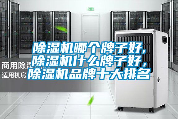 除濕機哪個牌子好,除濕機什么牌子好，除濕機品牌十大排名