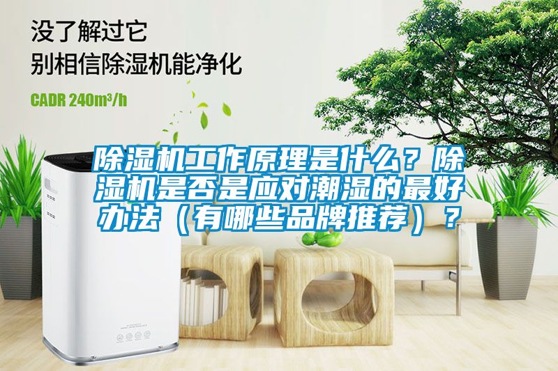 除濕機工作原理是什么？除濕機是否是應(yīng)對潮濕的最好辦法（有哪些品牌推薦）？