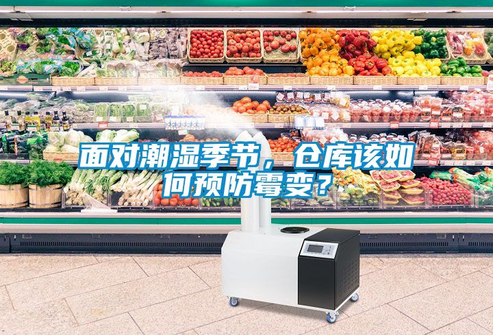 面對潮濕季節，倉庫該如何預防霉變？
