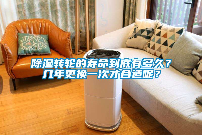 除濕轉(zhuǎn)輪的壽命到底有多久？幾年更換一次才合適呢？